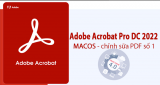 Adobe Acrobat: Phần mềm đọc và chỉnh sửa file PDF chuyên nghiệp.